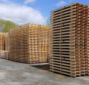 New wood pallets stacked at Springfield Lumber